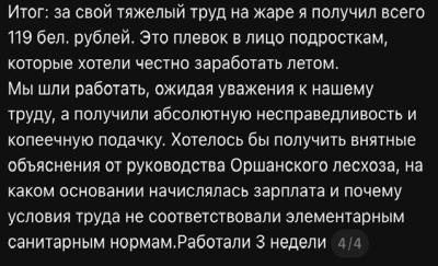 Як школьнікі працавалі ў Аршанскім лясгасе: ім абяцалі заробак пад тысячу, а заплацілі капейкі