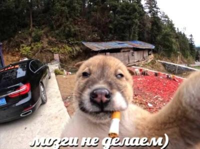 У пералік "экстрэмістаў" на сайце МУС уключылі двух віцяблян - удзельнікаў "экстрэмісцкага фармавання "Synthetic overdose"