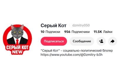 Прызнаны “экстрэмісцкім” Tiktok-акаўнт экс-палітвязня, блогера Дзмітрыя Казлова
