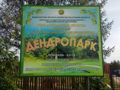Аршанскі райвыканкам зняў з уліку два помнікі прыроды. Наўрад ці гэта паспрыяе развіццю турызму