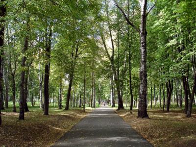 Віцебскі гарвыканкам анансаваў грамадскае абмеркаванне экалагічнага стану горада і схемы «зялёных тэрыторый»