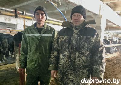 У Дубровенскі раён прыбылі першыя працоўныя міранты