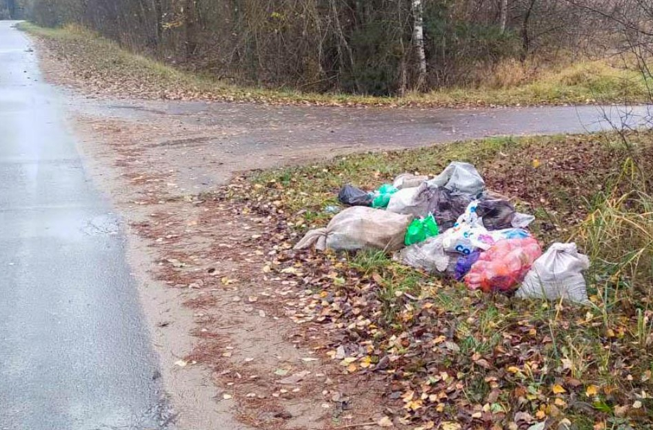 IНачальнік Пастаўскай раённай інспекцыі прыродных рэсурсаў і аховы навакольнага асяроддзя прапануе яшчэ адзін спосаб змагання са стыхійнымі звалкамі смецця