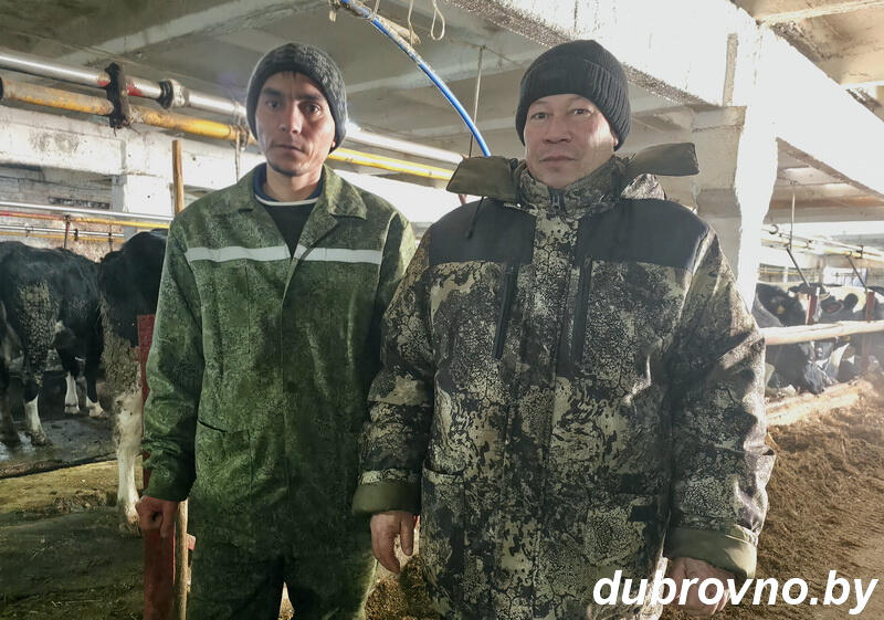 IУ Дубровенскі раён прыбылі першыя працоўныя міранты